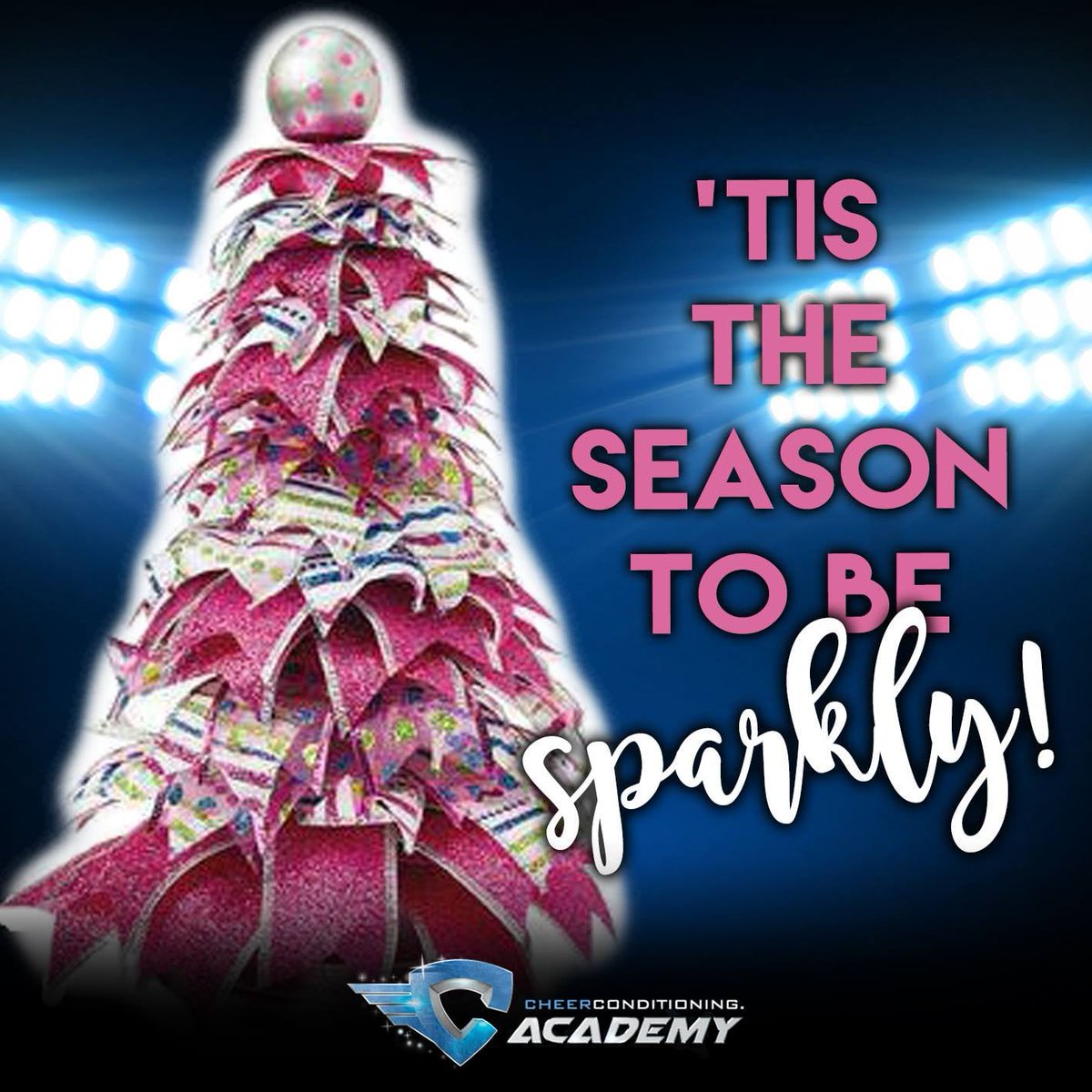 Wishing you a very Merry Christmas from everyone at Cheer Conditioning Academy!