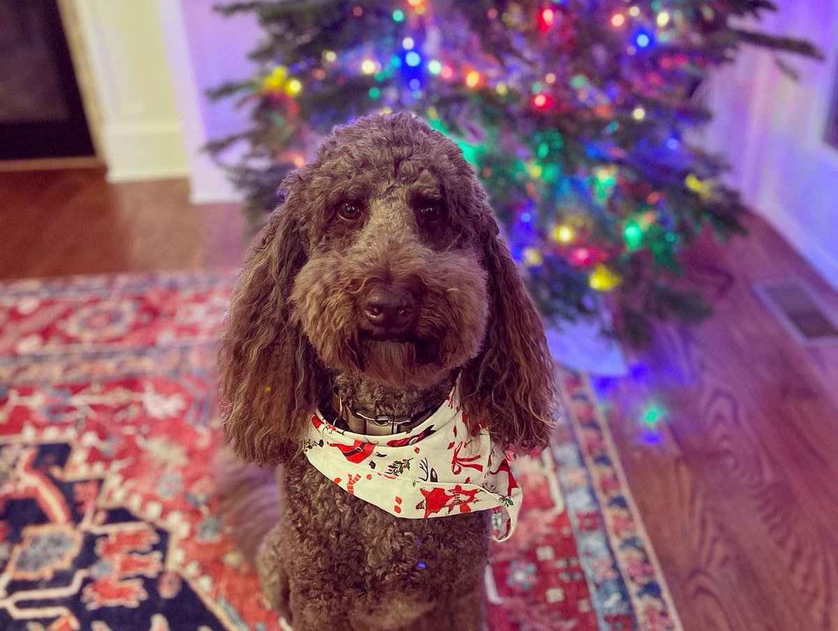 Matthew Wilson (@mwilsonga) on Twitter photo Merry Christmas from our family to yours! Wishing each of y’all a warm, restful holiday season with family and friends. Merry Christmas from our family to yours! Wishing each of y’all a warm, restful holiday season with family and friends.