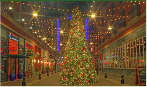 BaltCoElections's tweet photo. Wishing everyone that celebrates this season a very Merry Christmas from all
of us at the Baltimore County Board of Elections!⭐🎄
#BaltimoreCountyStrong #BaltimoreCountyVOTED
#BethesdaMD #BethesdaRow #ChristmasInMD
#MarylandAlways❤️ https://t.co/oImiFYlW9U