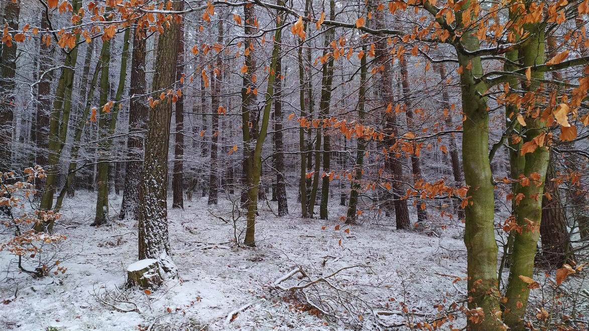 RyszardNow's tweet photo. @Picfx @VisualsbySauter 🥶📷❄️ https://t.co/nPbJ1fvIAi