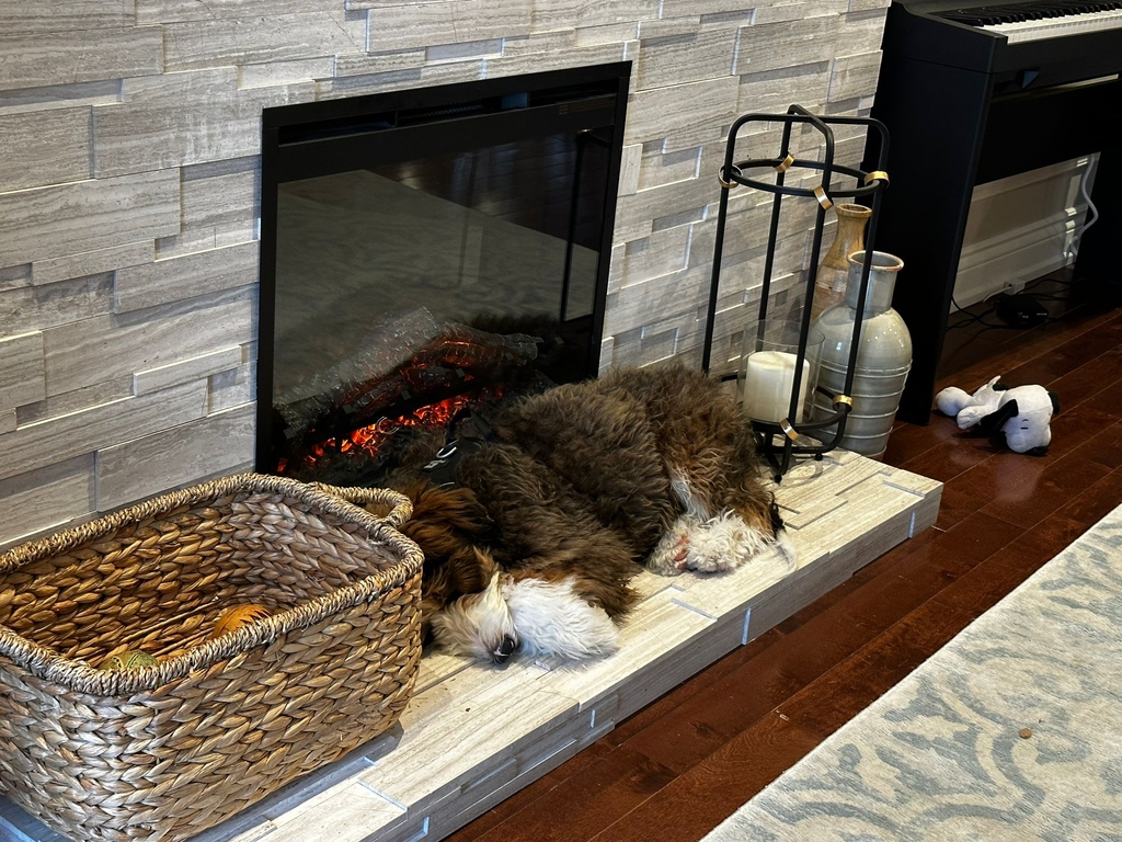 Unio_Tech's tweet photo. Are you keeping as warm and cozy as our unofficial mascot?

#holidays #fireplace #keepwarm #dogs #cutedogs #uniotech https://t.co/WTKPf1WKgA
