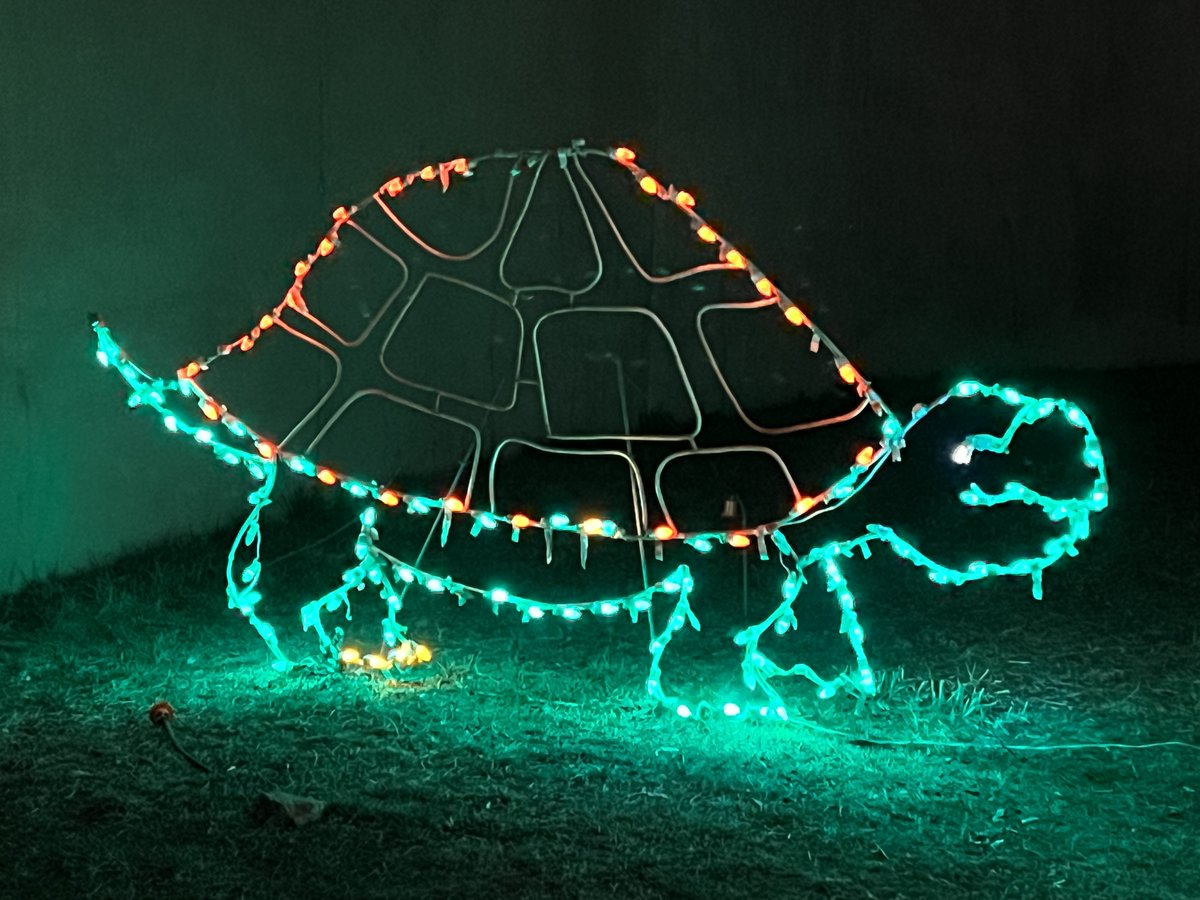 MERRY CHRISTMAS &amp; HAPPY HOLIDAYS FROM theTURTLEROOM!!!

TheTurtleRoom is a 501(c)(3) non-profit organization focused on advancing the survival of the world’s turtles and tortoises through collaborative education, conservation, and research programs. theturtleroom.org/donate