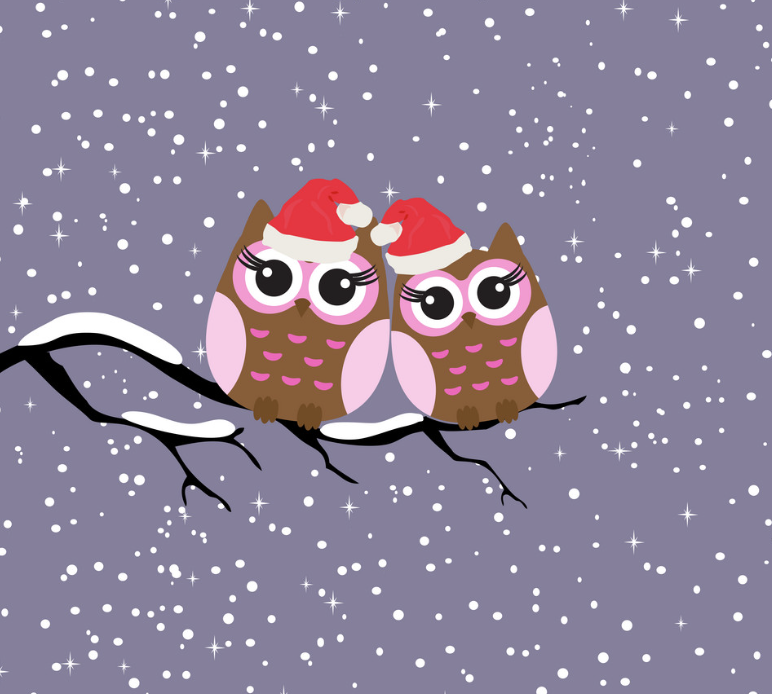 Moonbirds of Korea tweet media