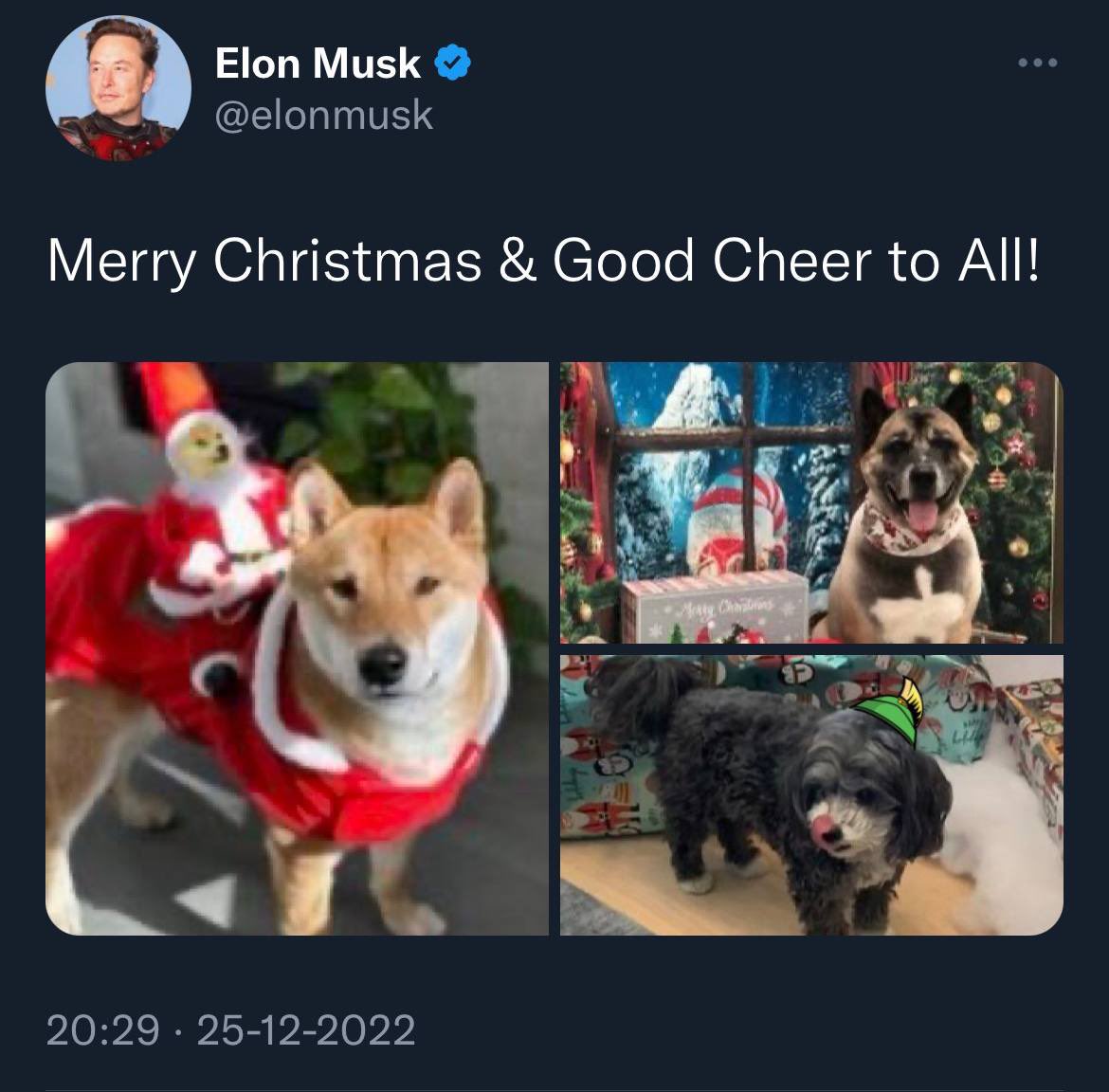 <a href="/elonmusk/">Elon Musk</a> Once again a meme coin is ready to pump during bear, thx Elon for making Crypto fun with $Marvin and $Doge

Reward yourself with a perfect gift ( break the matrix )🎁 by joining the invasion of great #Marvin the Martian 👽

Marvin-ecosystem.com

#MerryChristmas #memecoins