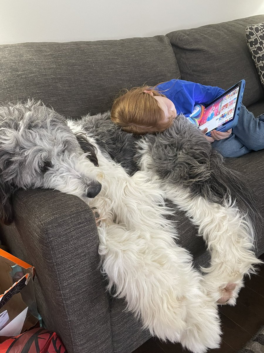 Christmas is wonderful, but exhausting.  ♥️