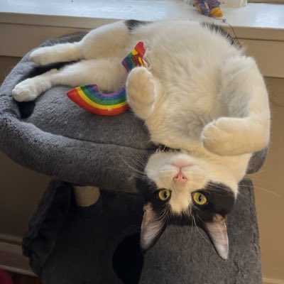 MoxTittyMaster's tweet photo. #NewProfilePic https://t.co/VuYbQfSM7V
