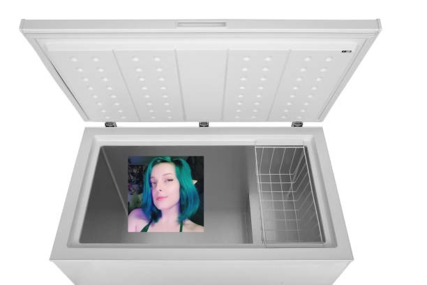 favinfreezer tweet picture