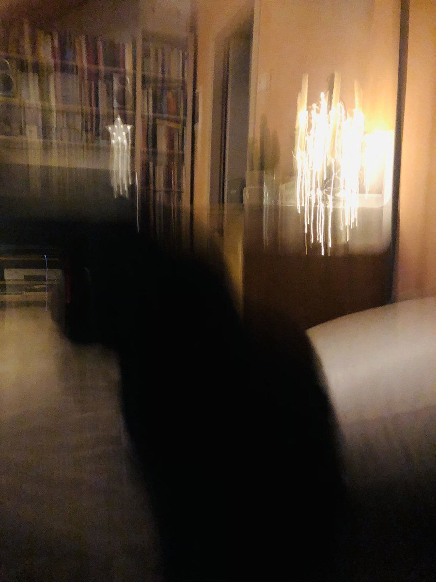 MirtaBaratto's tweet photo. Strobe lights and blown speakers
Fireworks and hurricanes
I'm not here
This isn't happening #25thDecember #radiohead #howtodisappearcompletely https://t.co/gKAmEC79PA