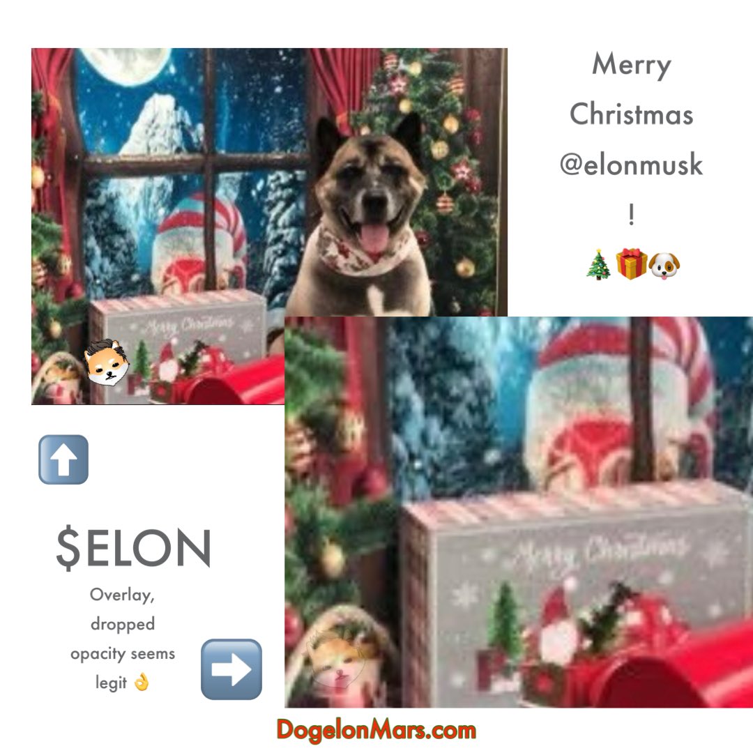 MarsFleet's tweet photo. @elonmusk MERRY XMAS @elonmusk ! 🛷🎁🎅🎄

THANKS FOR THE SHOUTOUT! 🤜🤛🫂

WE LOVE YOU! ❤️

@DogelonMars #DogelonMars #ElonMusk #MerryChristmas2022 
@ElonCouncil @CryptonMars @dogelonarmy @DogelonWarriors @TheGreekGod11 @CapitalArmada @ElonEnigma #Elongevity @DogelonMarsNFTs @mfoundation https://t.co/qTq7Q5nSLp
