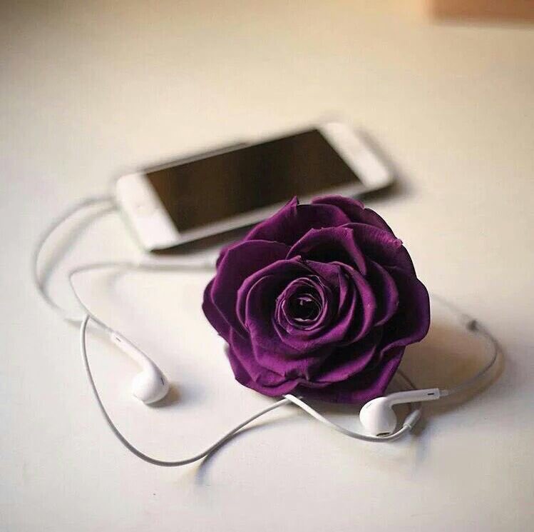 اربعيني دب tweet media