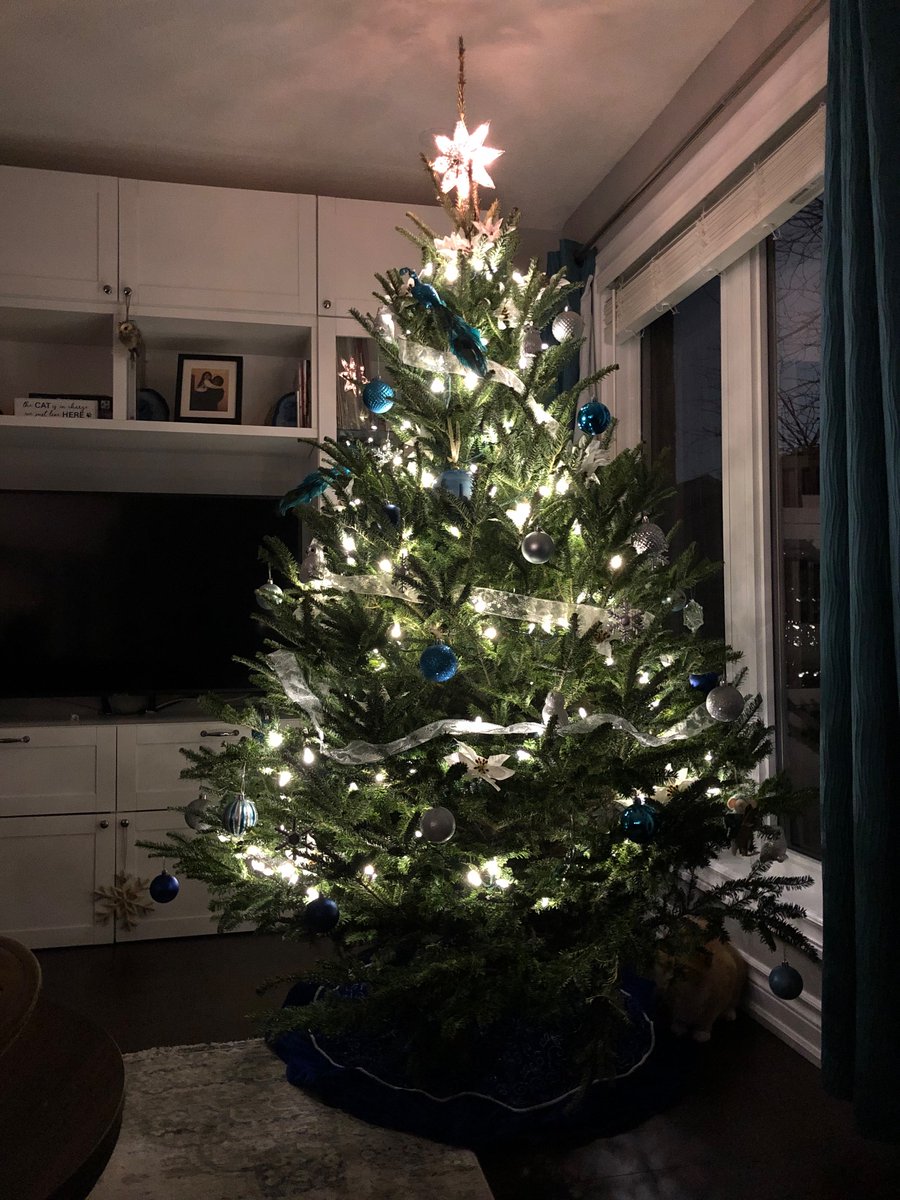 Merry Christmas from our home to yours.
