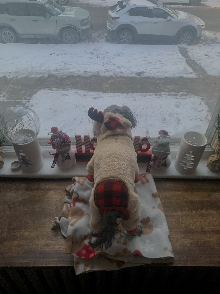 Aussieshell4 tweet media