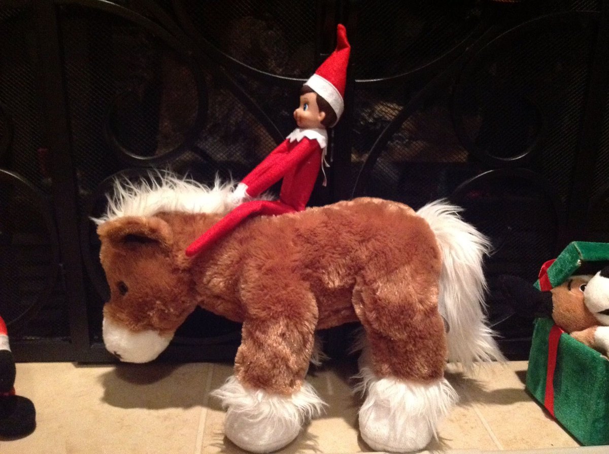 PboroHuntSabs's tweet photo. Little #elf Shauny got a little bit angry yesterday and as such, has had to be reported to the police. Oh dear.  Someone's on the #naughtylist!

#ElfOnTheShelf #AngryLittleMan #RedFaceRedJacket https://t.co/HOdZ6VZAWw