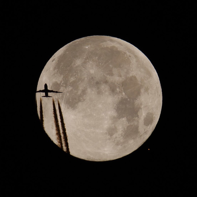 bettyswolloks's tweet photo. Mars Occultation 2022
#ranfog #mars #occulation
https://t.co/BOa64q5mZS https://t.co/7xvFaoLBI9