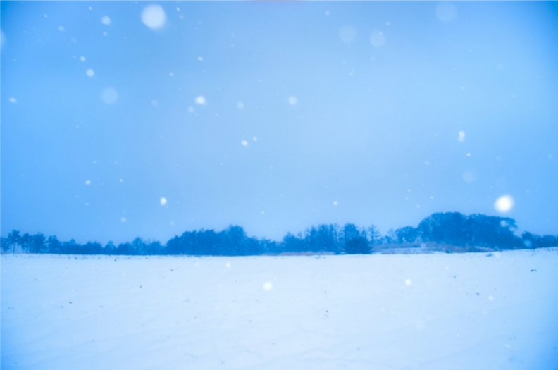 NovelTao's tweet photo. Bの語り

暑い・寒い・雨や雪・山の火事も、環境は急速に変わったわけではなく、ゆっくりと変化していた。
区切りのある生活をする君たちにとって、#最後の週 でも、僕は関係ないよ。
変化は静かに静かに迫ってる。君が居る環境は、目標だけじゃどうにもならないこと、気づいてる？

#地球の化身 https://t.co/0L3owHLpk3