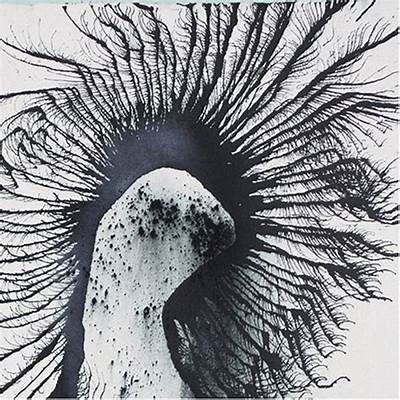 NosferatuVK's tweet photo. Spun “#LetsJustBe,” by Joseph Arthur the other day. #music
This is not Joe’s best work. Half of this album needs to be trashed. There’s one 21 minute disaster.
But, the good here is quite good. Here’s a track. 👇🎶 (741
https://t.co/g7rFTBEium
#MusicTherapy #LackAVision https://t.co/zb3ZZtiIfE