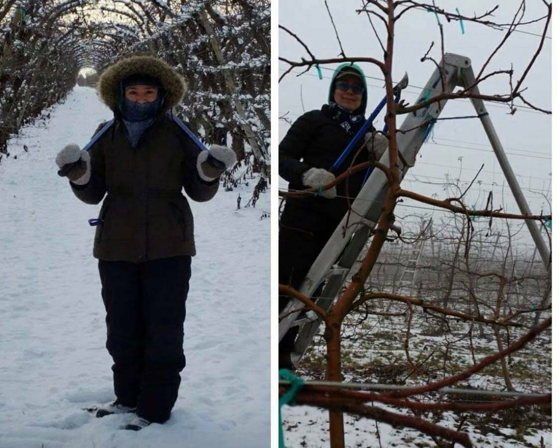 UFWupdates's tweet photo. Elidia is a WA farm worker who shares, "Immigration reform is important to me so I'm not scared when I leave for work every morning that I might not come home to my family." #WeFeedYou https://t.co/bXXkDrFoYS