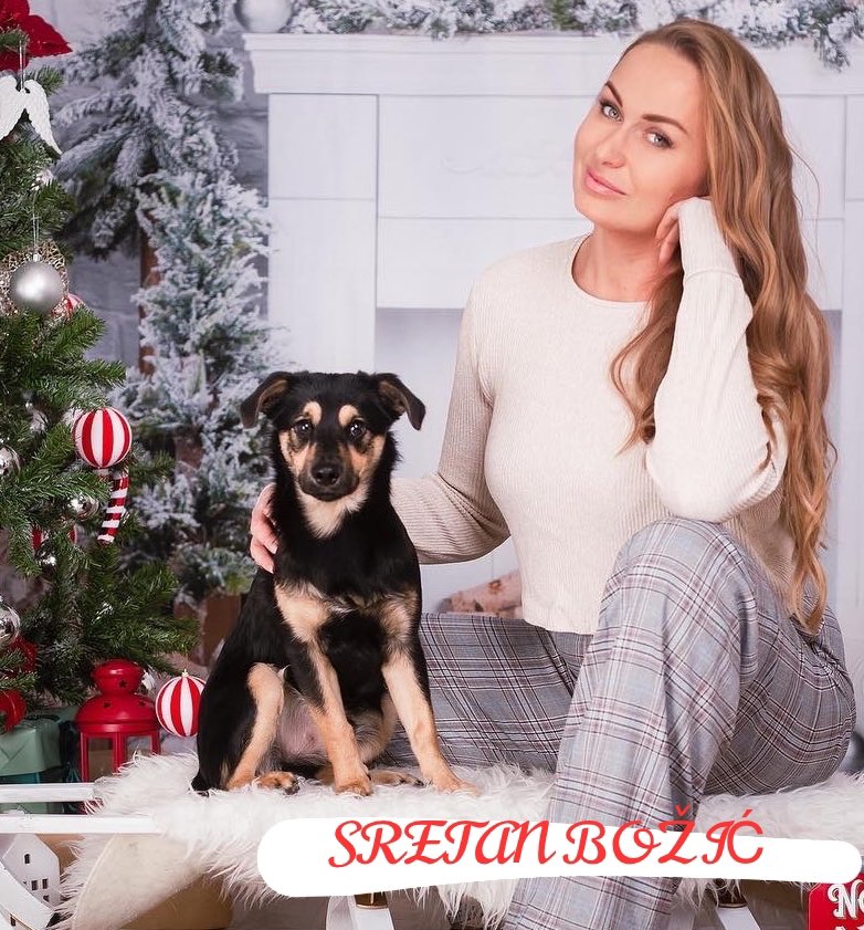 Magdalena080986's tweet photo. #Christmas #doglovers https://t.co/lhEe5uIGvA