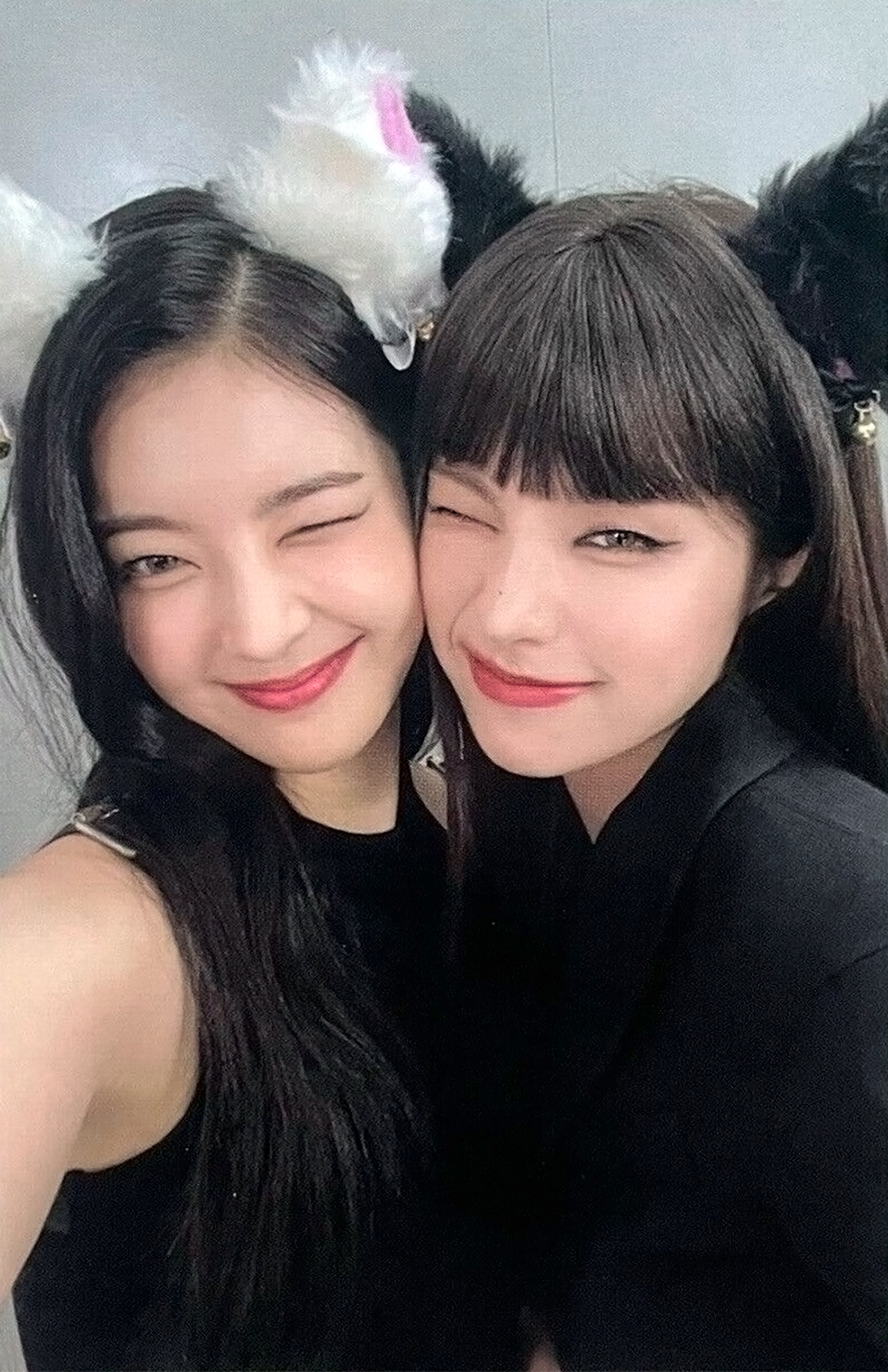 itzy cheshire 中華 一直娱 yizhiyu 5枚セット itzy cheshire 中華 一直娱 yizhiyu 5枚セット NCT DREAM candy