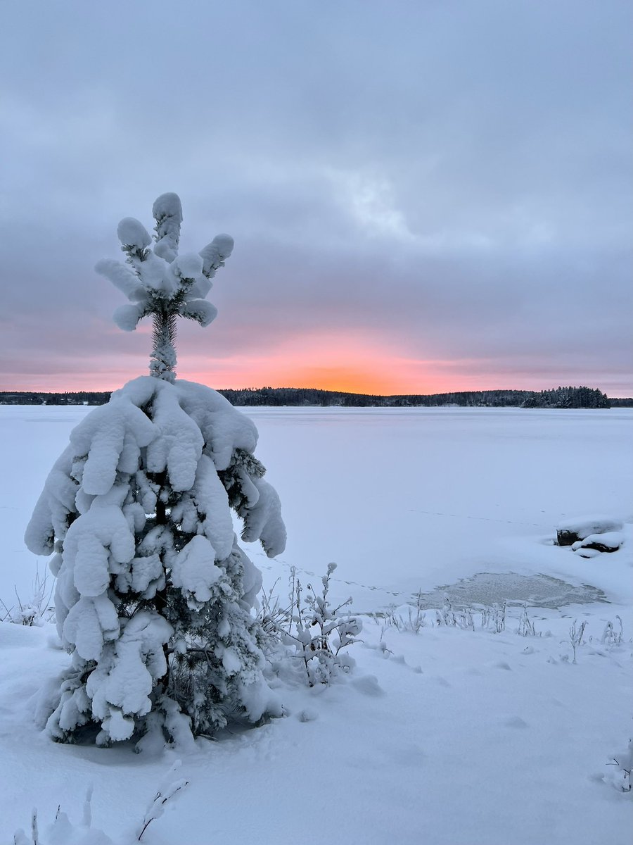 Joulun saunamaisema kohdallaan✨ #christmas #finland #sauna #sunset #nature