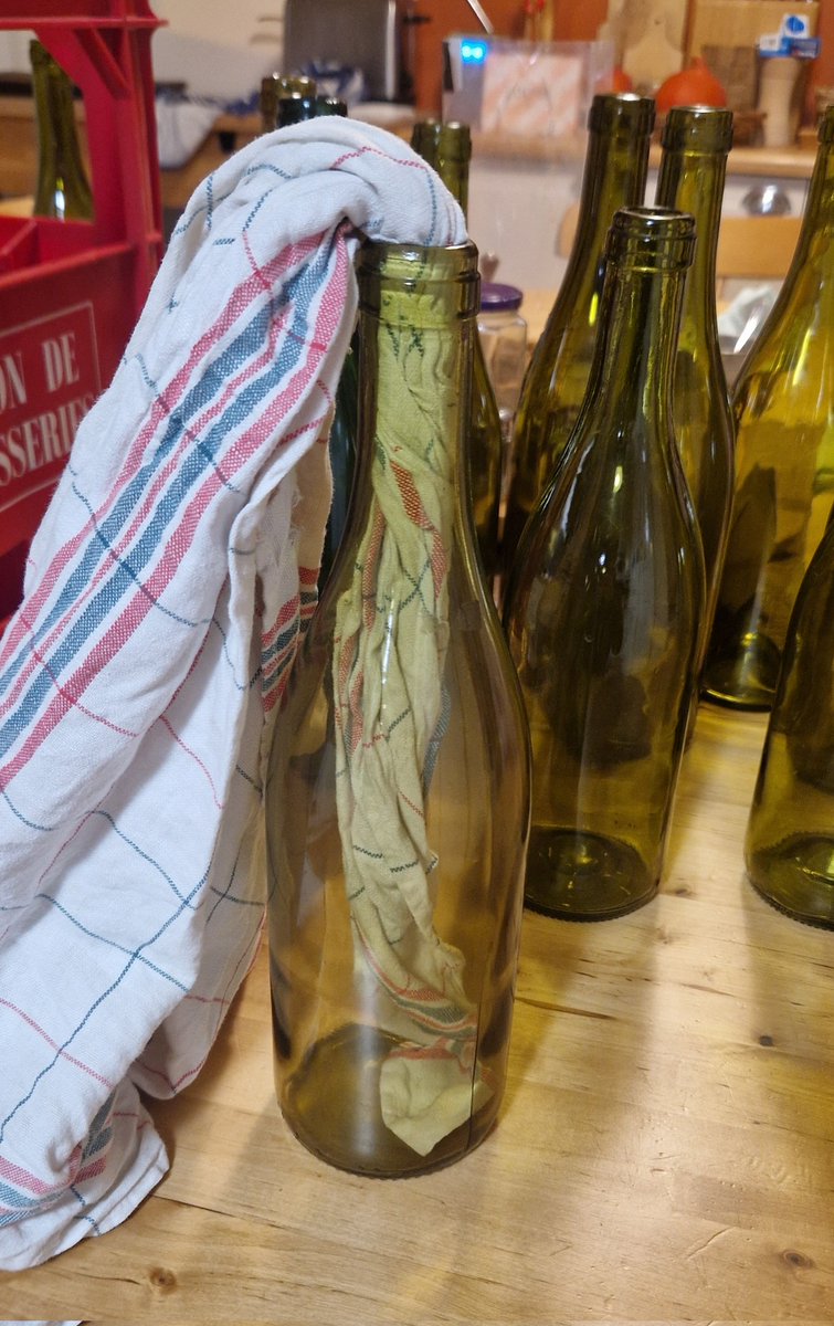 Dandy-Paria tweet media