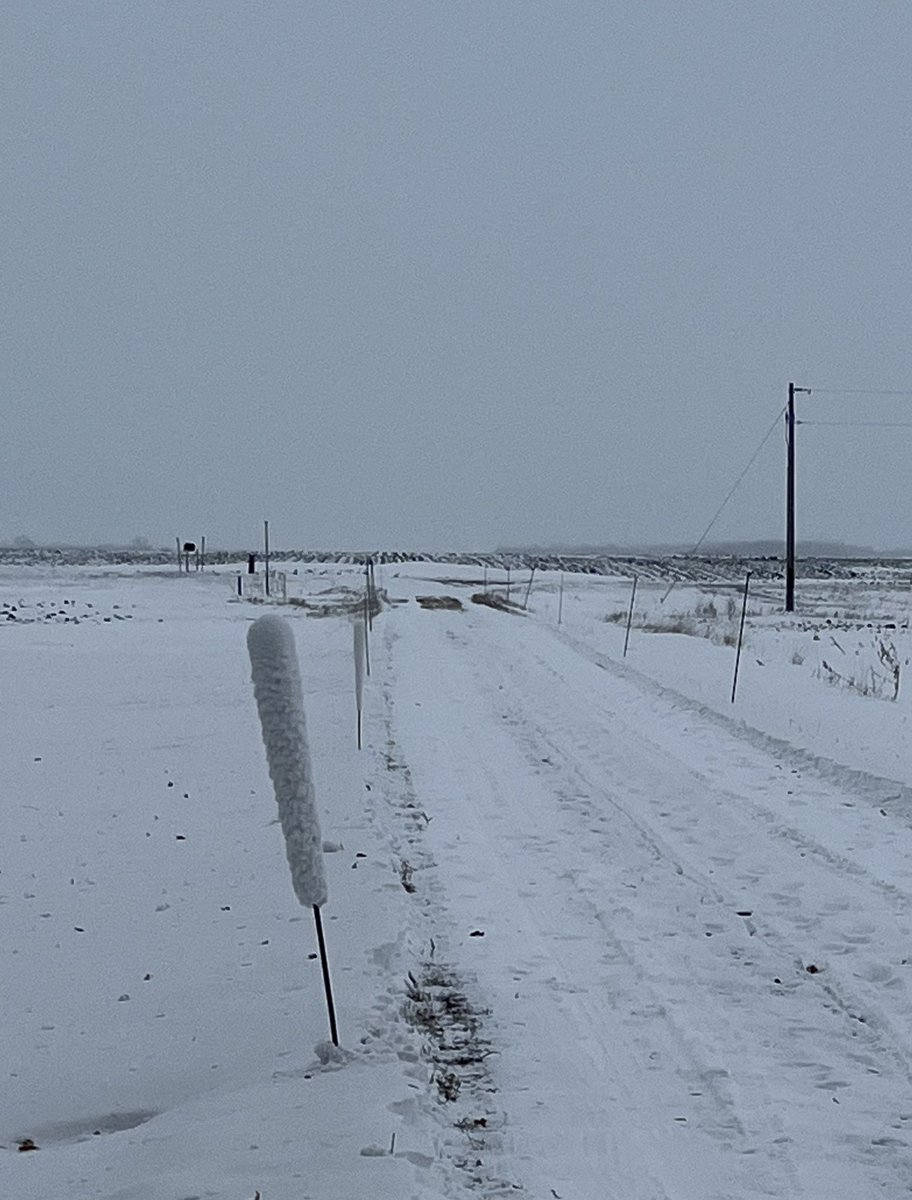 thiacooper's tweet photo. In true Minnesota fashion, one of my snow stakes has become a corn dog. https://t.co/gUTCtvhJsC