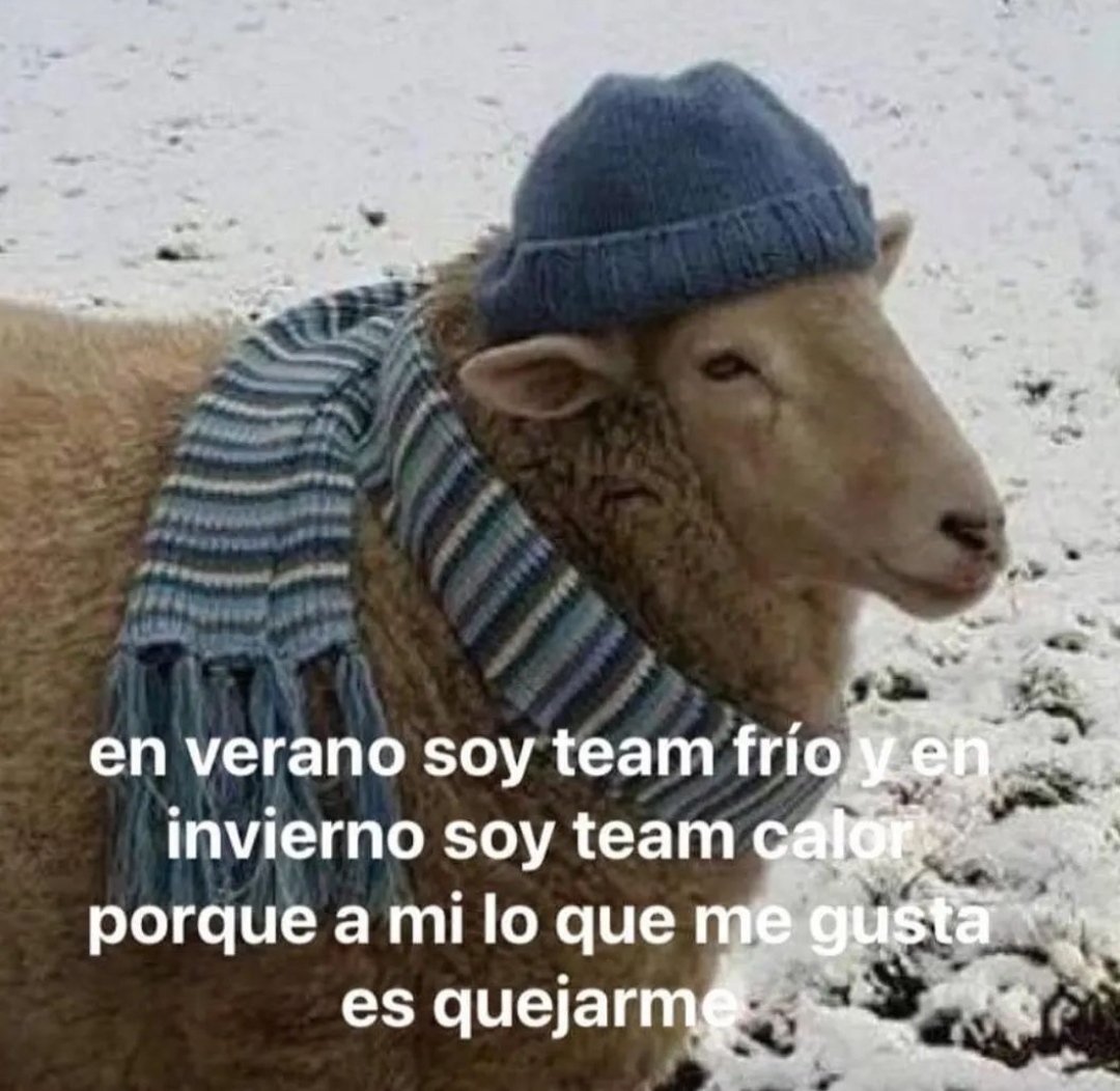 noah_almiron's tweet photo. Soy team queja https://t.co/e1d8iwwq4R