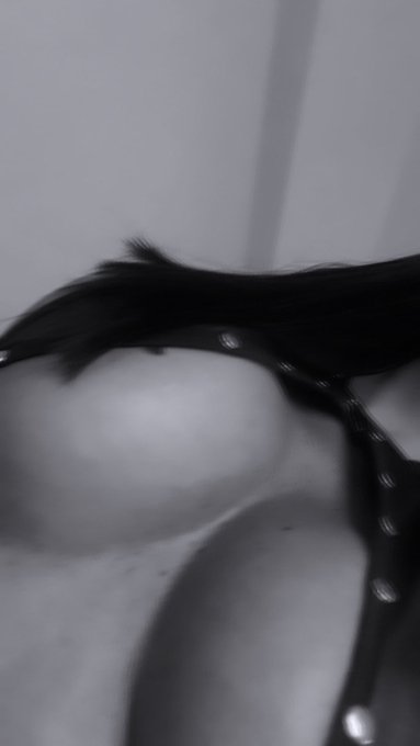 &iquest;soy muy salvage pa&rsquo; ti? https://t.co/AncTPCvrpM