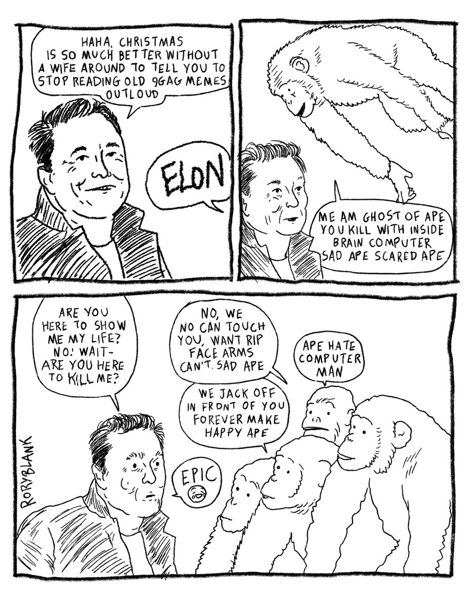 Rory Blank tweet media