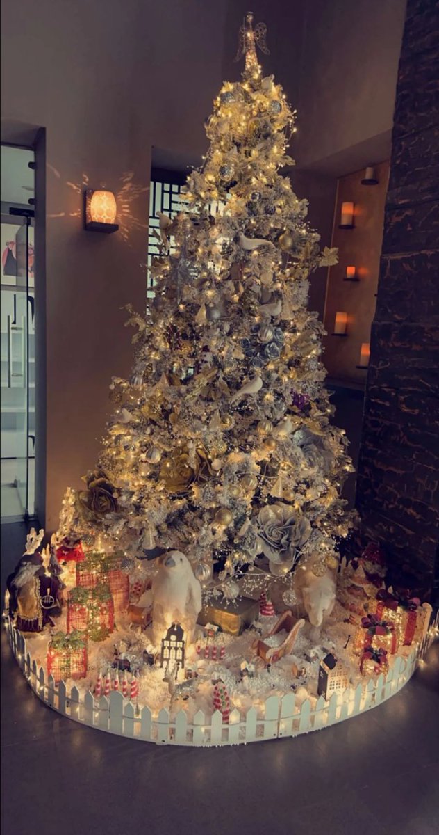 MERRY CHRISTMAS 🎄