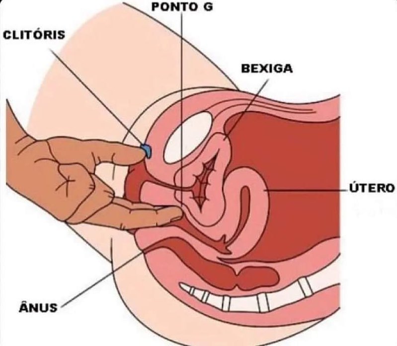 MexicoMagico's tweet photo. ¿Sabías que si presionas el cliptori + punto G al mismo tiempo, la vagina toma un screenshot? 

#LifeHack https://t.co/iwCX5XduHd