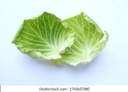 _Woman_health's tweet photo. #CabbageLeaf, the Best Natural Whole Food in Treating #BreastEngorgement https://t.co/Pfy0Pz4k93 https://t.co/Yhgzdi5TQJ