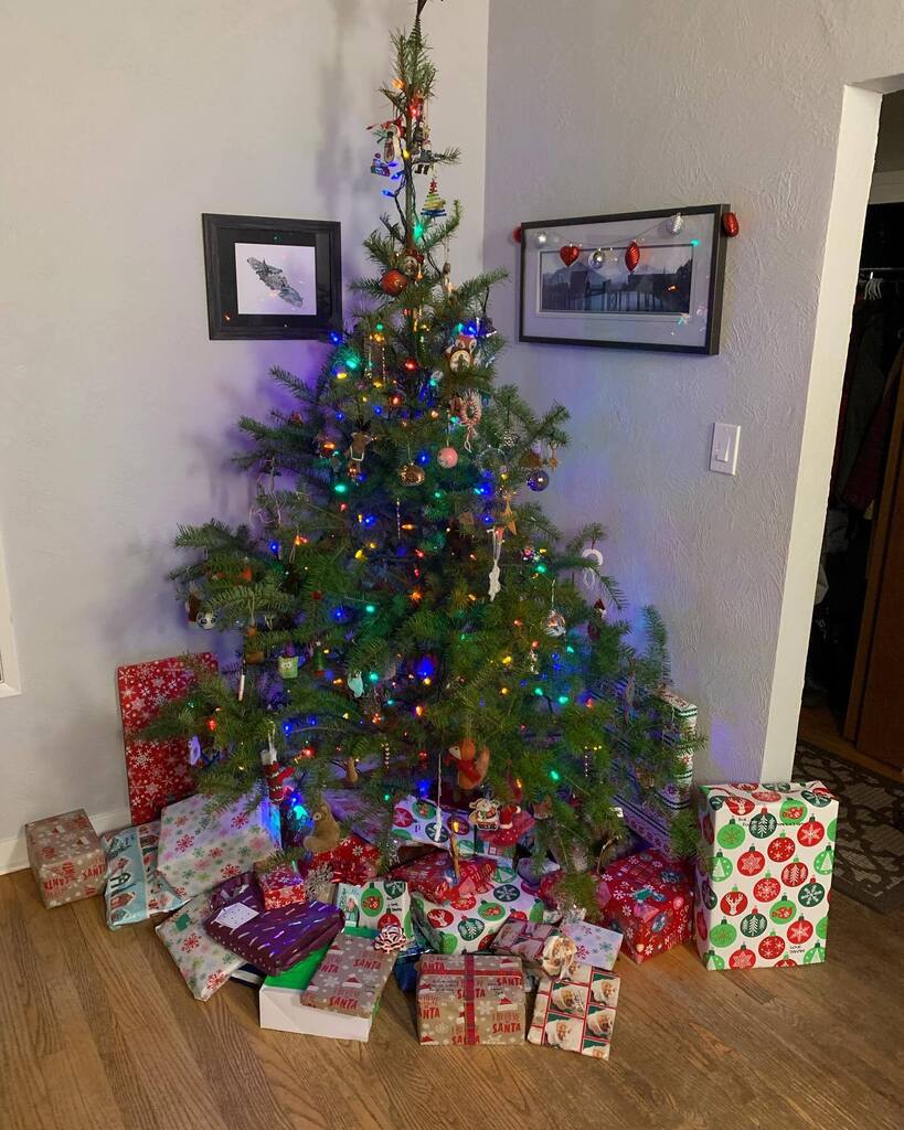 muddylaces's tweet image. Merry Christmas everyone. Fun morning with family opening gifts topped  with a yummy breakfast of eggs benedict. Christmas traditions. instagr.am/p/CmmsoWNyhJV/