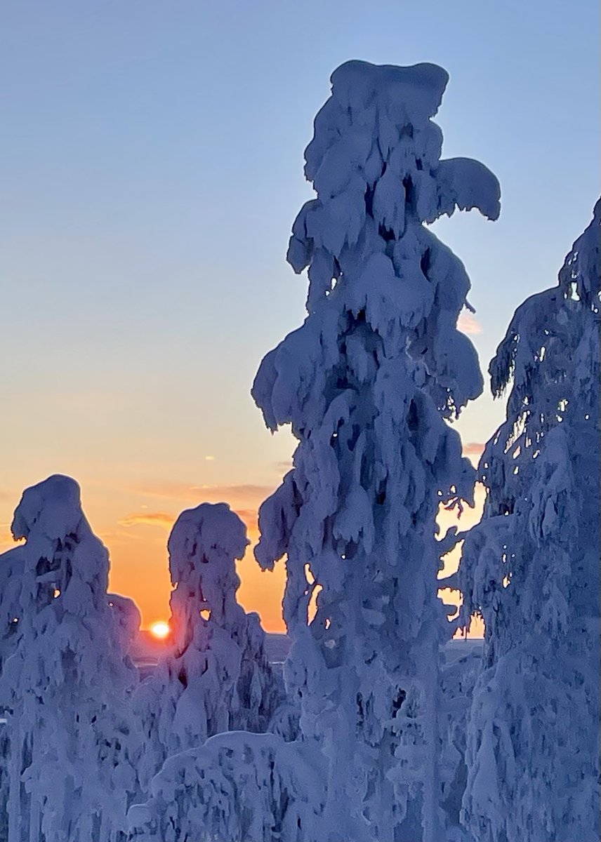 MuurinenJanne's tweet photo. Vaikka #Levi llä on vielä #kaamos , näyttää #aurinko valon refraktion johdosta olevan jo horisontin yläpuolella https://t.co/pb355EKcIz