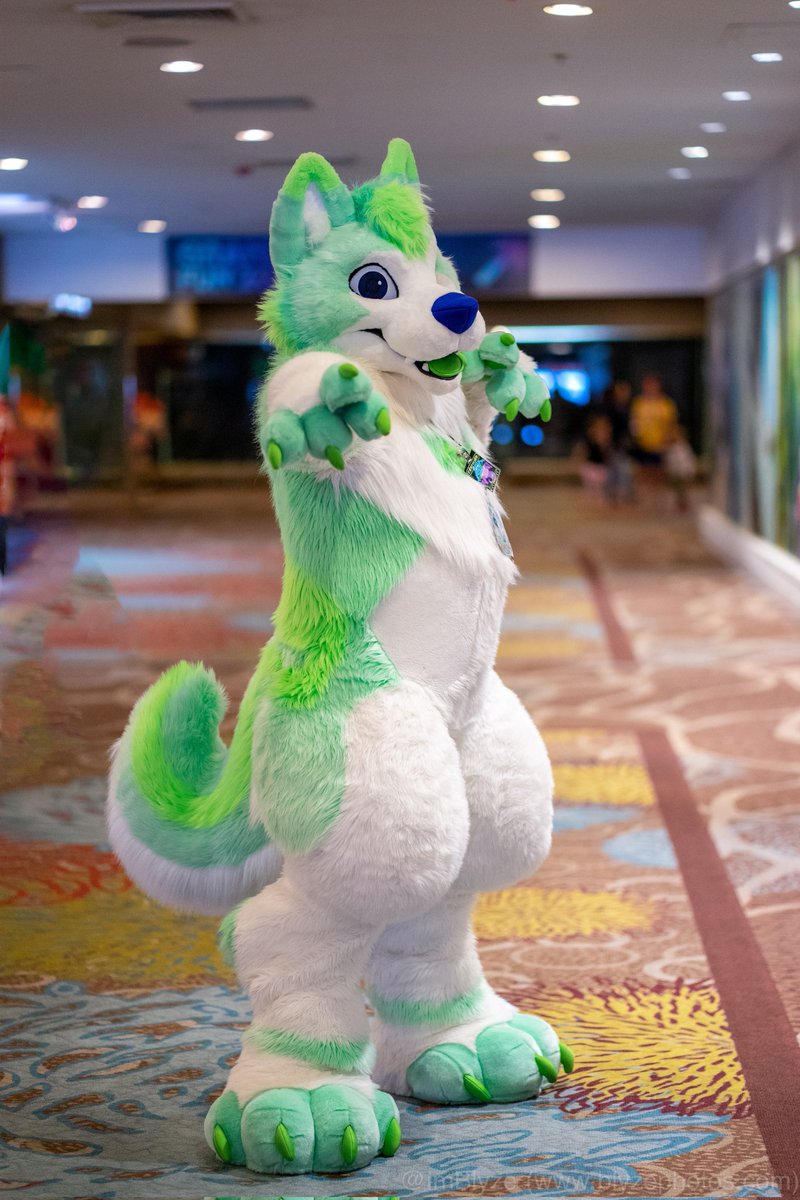 husky_mint's tweet image. I hope YOU! are having a wonderful holiday weekend and I look forward to seeing you all this new year! I honestly had such an eventful year and I'm thankful for all the amazing people around me. You all mean the world to me! Keep spreading love and care for those around you. 💚