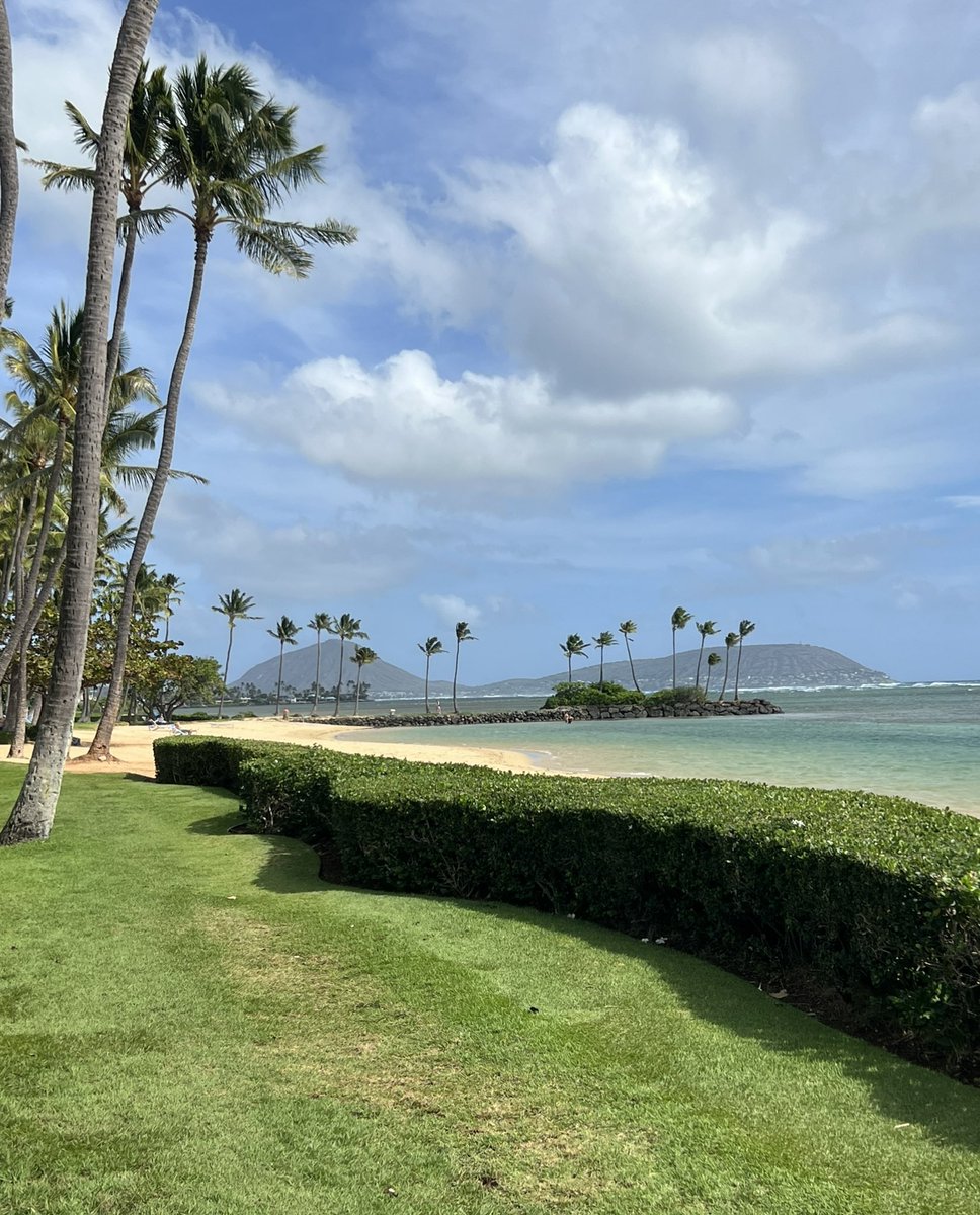 DebraFujiwara's tweet photo. @HoobaDoug Wishing you and your Hoobafamily and Hoobadoggos a Mele Kalikimaka.  Many blessings to you and your family!#MerryChristmas https://t.co/swTgg54jxb