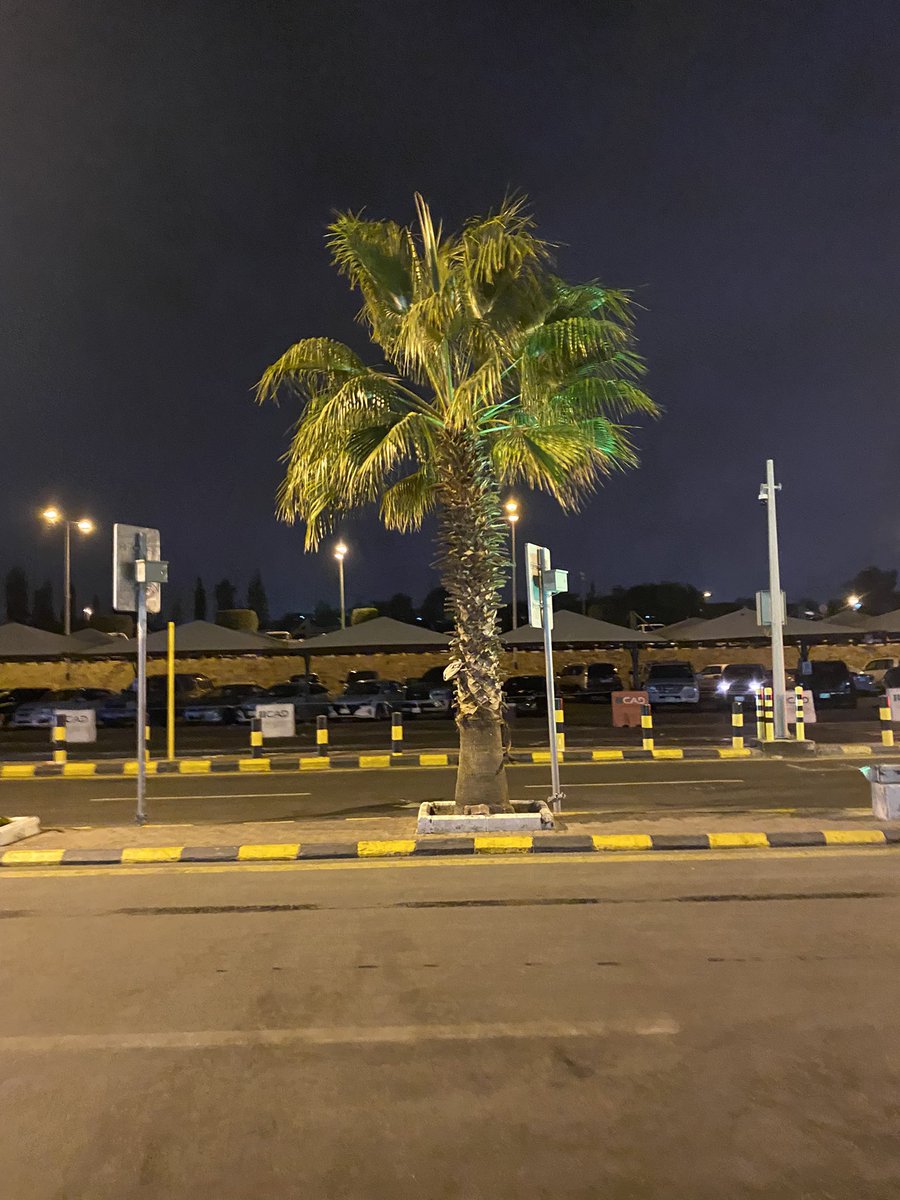 lotterixx's tweet image. In my capitalist era 🙏🏻
Used to pray for times like this. #procapitalism #capitalismisgood