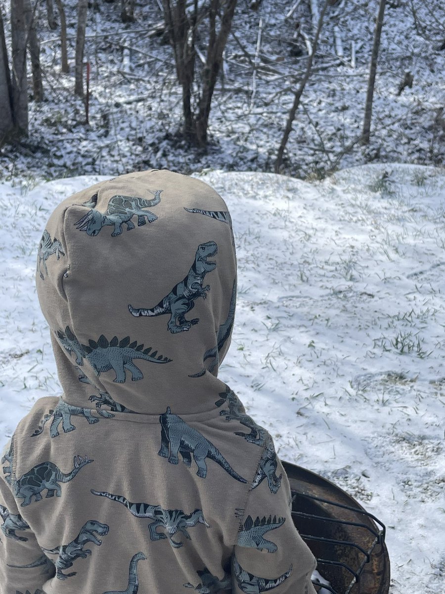 Baby girl handled the cold for about 90 seconds before she was ready to come inside. #WinterStorm