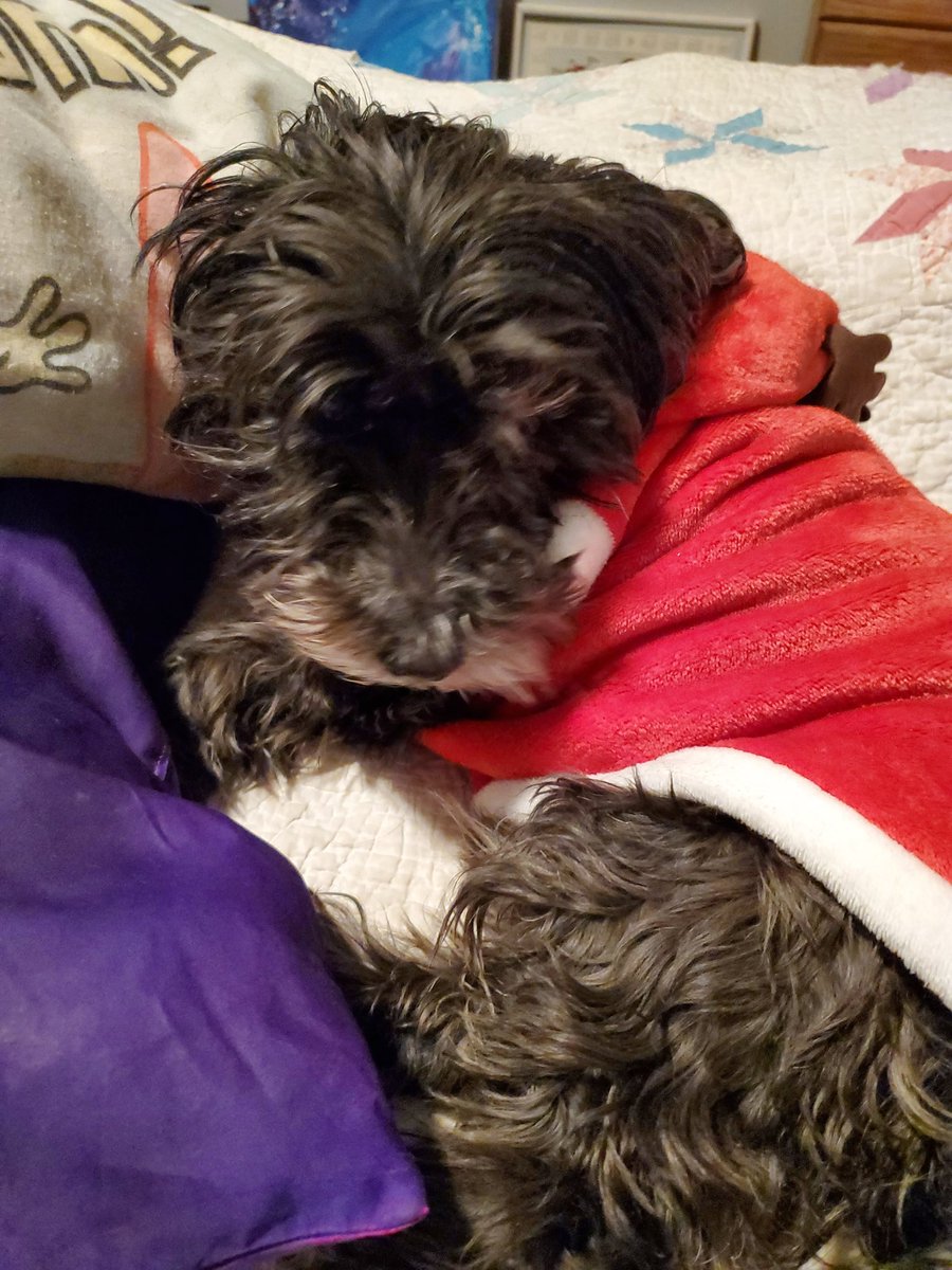 T4524143's tweet photo. Merry Christmas all my beautiful twitter family! ❤️ Hope you are all well and happy as we are! Having my first white Christmas very excited! Everything to be thankful for. My children and grandchildren are great. Hope all of you are as happy as I am! ❄️☃️🥶 https://t.co/w5D4VdIOx9