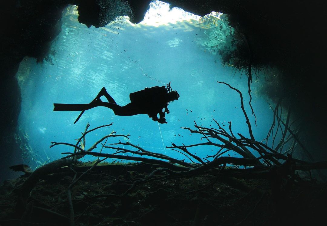 Riviera Maya on Twitter "RT TulumTulum The AktunHa cenote is 𝗮