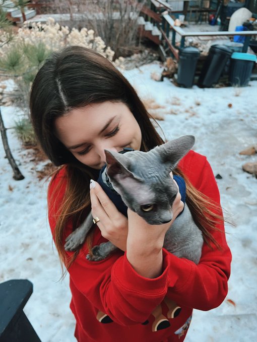 Meowy Christmas, from our little family to yours 🎄❤️ https://t.co/2bVylWFYPC