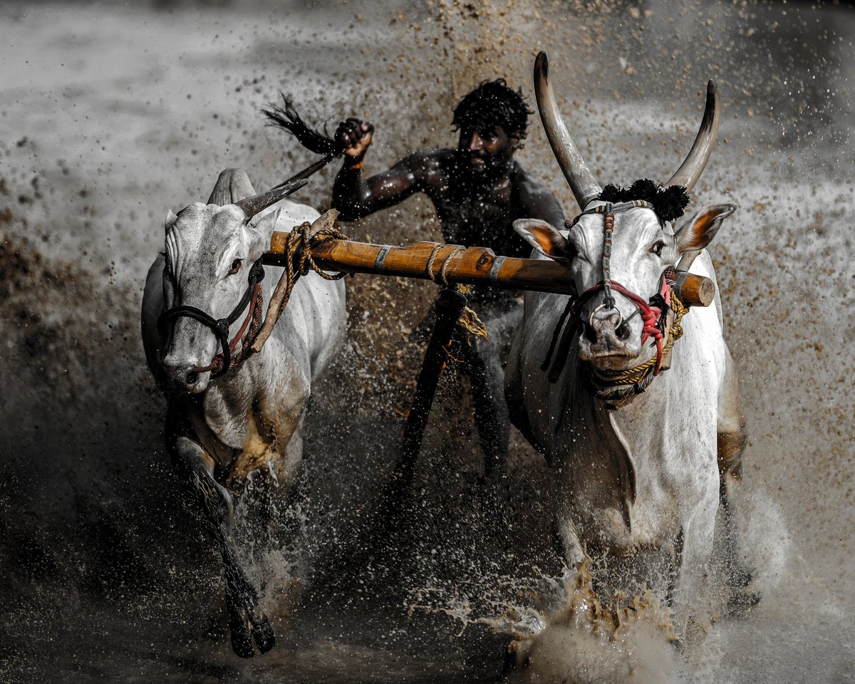 ChandranManoop's tweet photo. @KattyNFT1 https://t.co/ExLp5SzNiQ https://t.co/6IqikLdheX