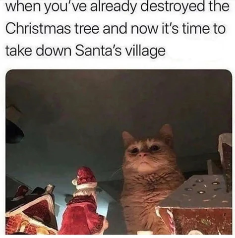 KeithJKaufman's tweet photo. “Every act of creation is first an act of destruction."  
- Pablo Picasso

...and this cat (presumably) https://t.co/3qNcAlG2uF