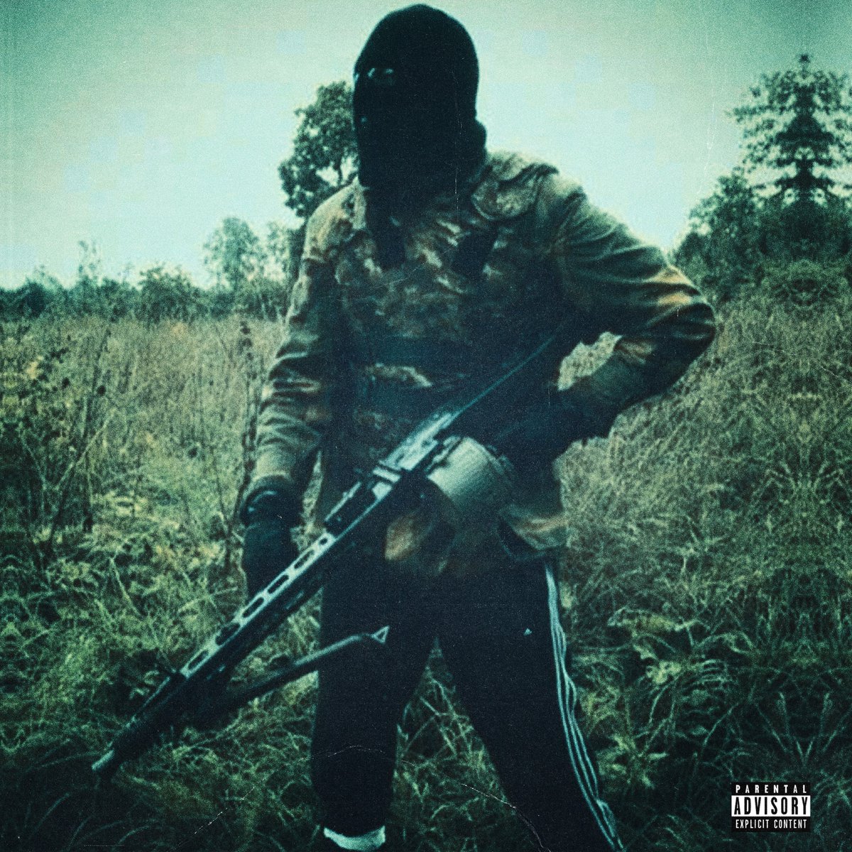 Chris Green tweet media