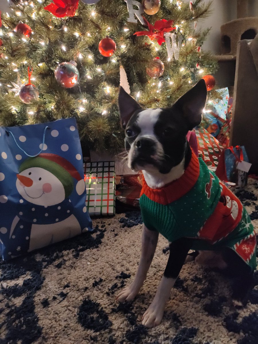 trapluke_sol's tweet image. Merry Christmas ☃️