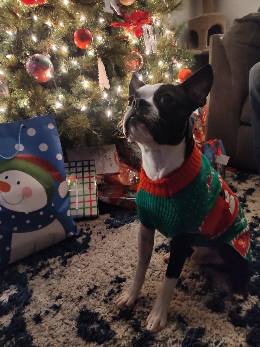 trapluke_sol's tweet image. Merry Christmas ☃️