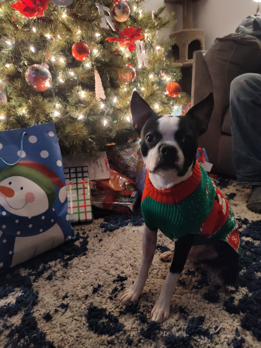 trapluke_sol's tweet image. Merry Christmas ☃️