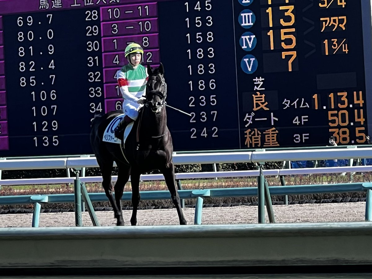 UtoutoWasabi's tweet image. これはタイトルホルダー帽子を被っていた僕に気付いて「は？お前見とけよ」って睨みつけてきた(←錯覚)エフの妹のペリファーニアちゃん

それと、話題のエフフォーリアの返し馬

近くの人の「頑張れエフフォーリア」がめちゃくちゃ良い
この時が1番一体感があってグッと来た

おかえり

#有馬記念2022