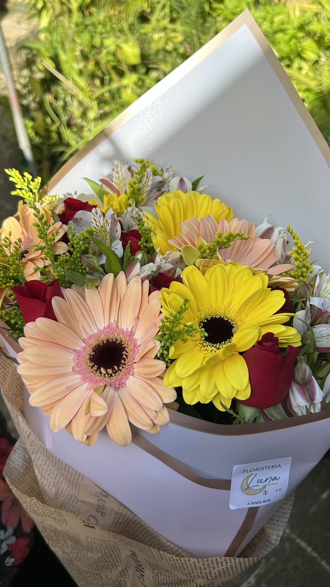 Las florecitas que me regalo mi novio por nuestro aniversario 😍😍😍😍