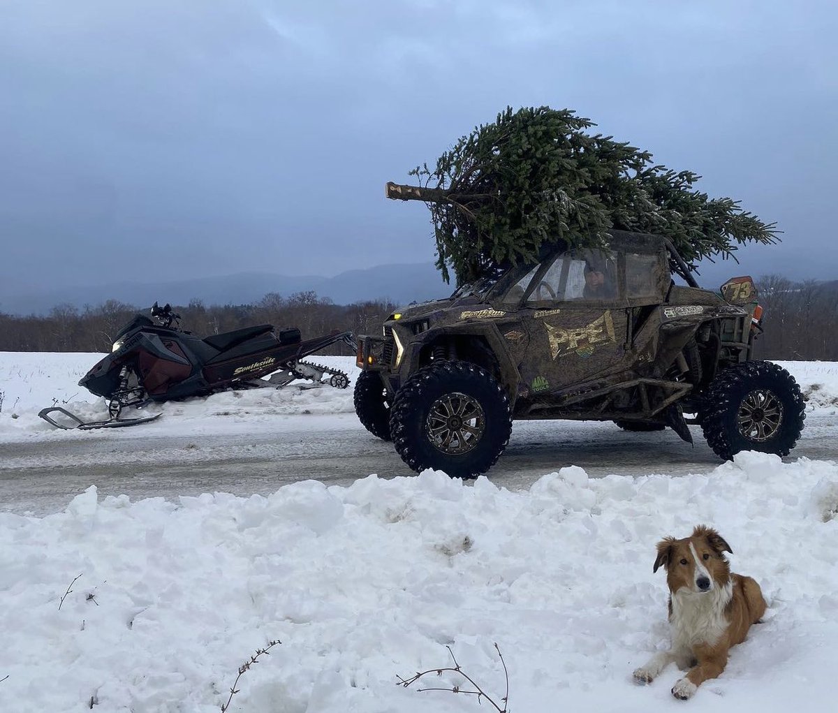 PPEI_Tuning's tweet photo. Merry Christmas, folks! Thank you James for the awesome shot!
-
From race cars to… well… Christmas tree mobile - #PPEI has you covered! https://t.co/5TQDOn16AP